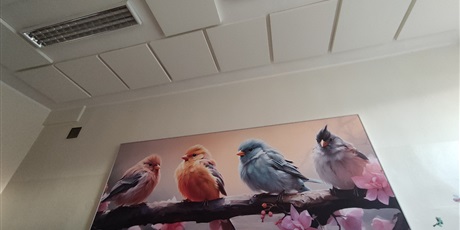 Powiększ grafikę: projekt-wlaczamy-gdanskie-szkoly-655438.jpg